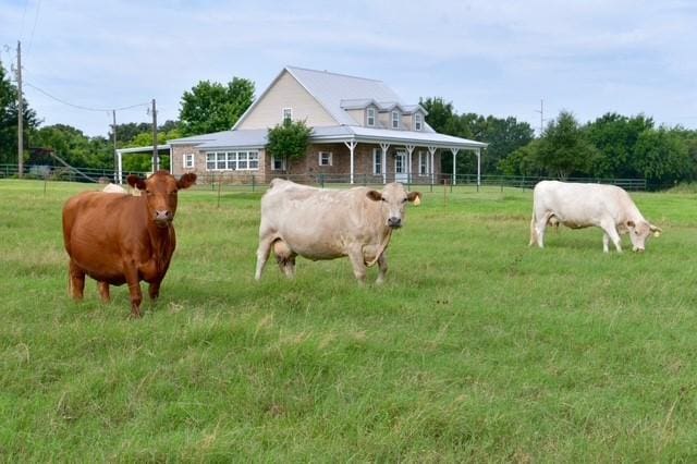 view of horse barn with a rural view