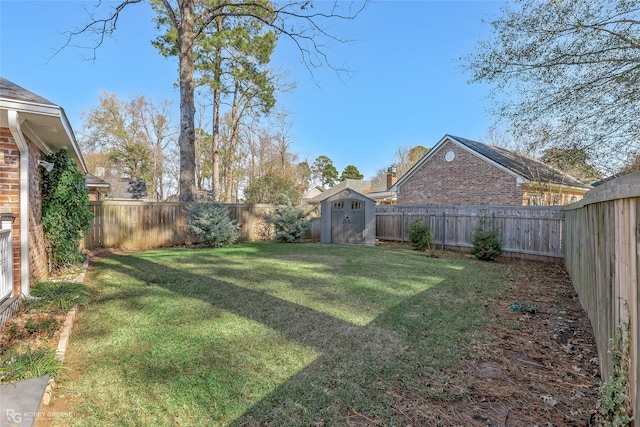 view of yard featuring a storage shed