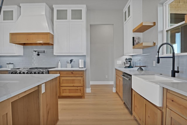 kitchen with a sink, decorative backsplash, light wood-style floors, custom exhaust hood, and dishwasher