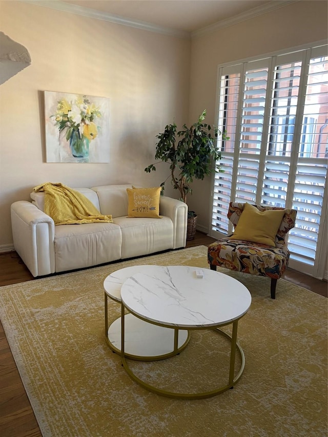 living room featuring ornamental molding and dark hardwood / wood-style flooring