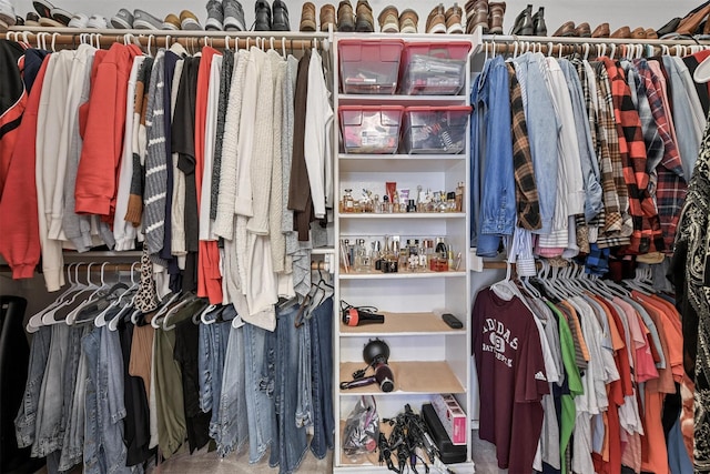 view of spacious closet