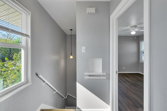 staircase featuring wood-type flooring and ceiling fan