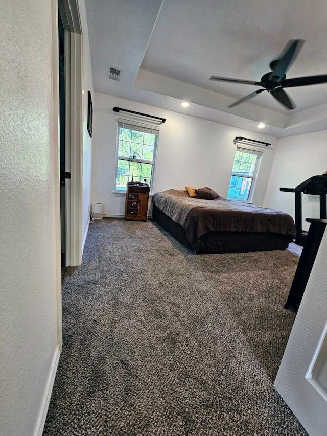 bedroom featuring multiple windows, dark carpet, and a tray ceiling