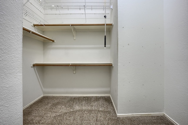 spacious closet with dark colored carpet