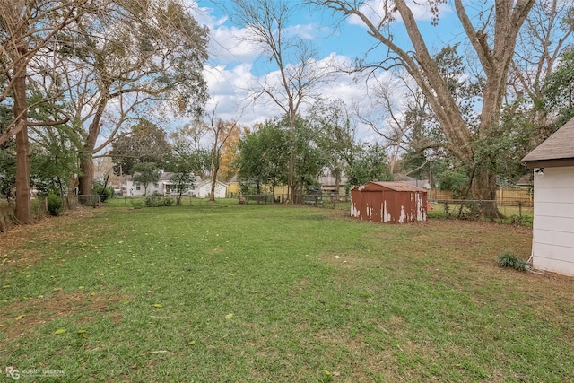 view of yard featuring a shed