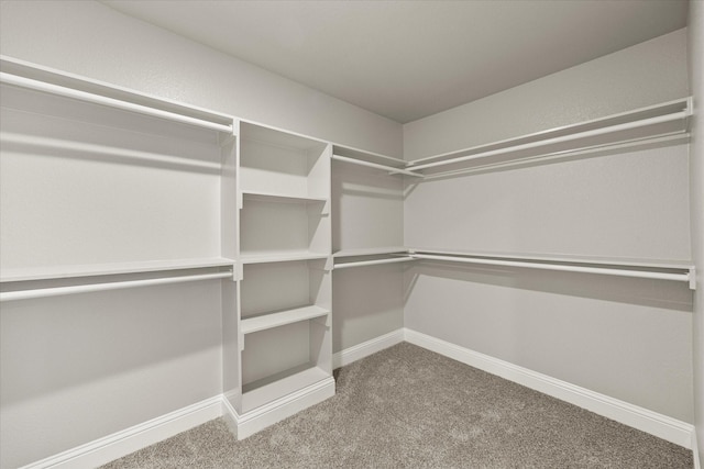 spacious closet with carpet