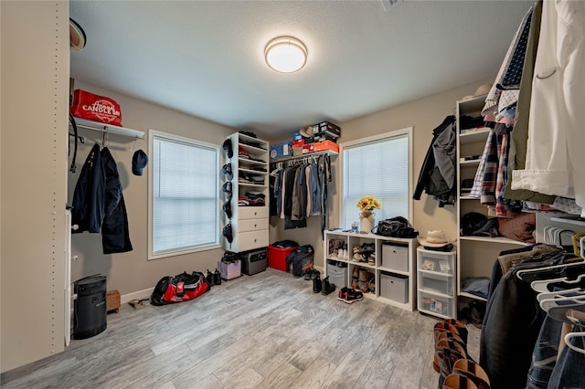 spacious closet with wood-type flooring