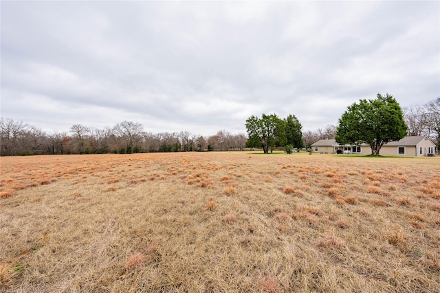 view of yard with a rural view