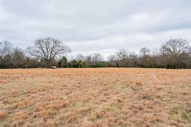 view of local wilderness featuring a rural view