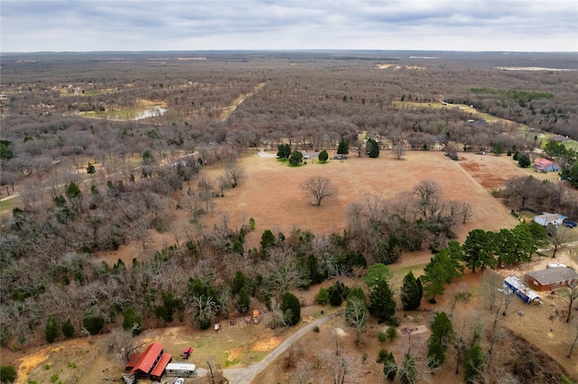 bird's eye view with a rural view