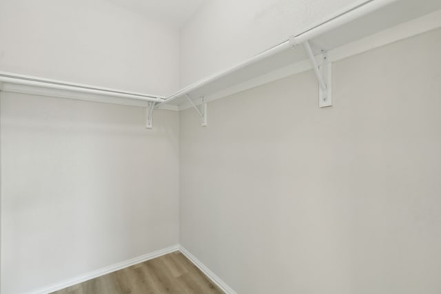 spacious closet featuring light hardwood / wood-style flooring