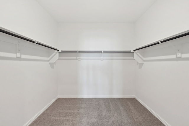 spacious closet with carpet flooring