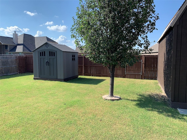 view of yard with a shed