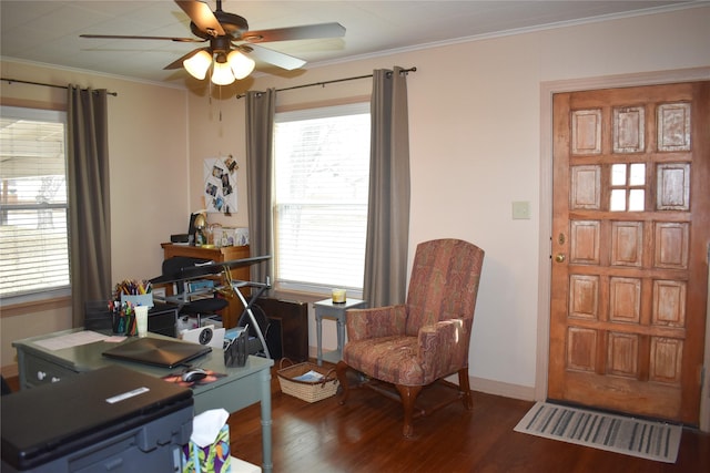 home office with crown molding, ceiling fan, and dark hardwood / wood-style flooring