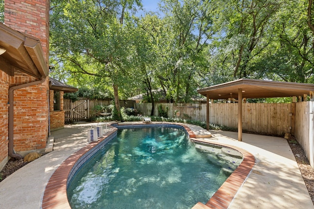 view of swimming pool with a patio area