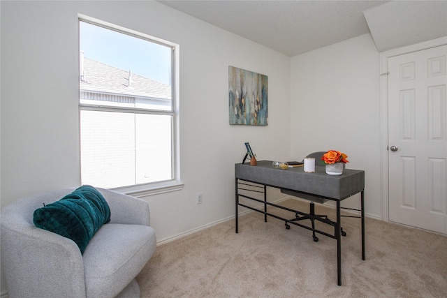 home office with light carpet and plenty of natural light