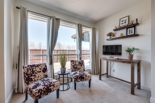 living area with carpet and baseboards