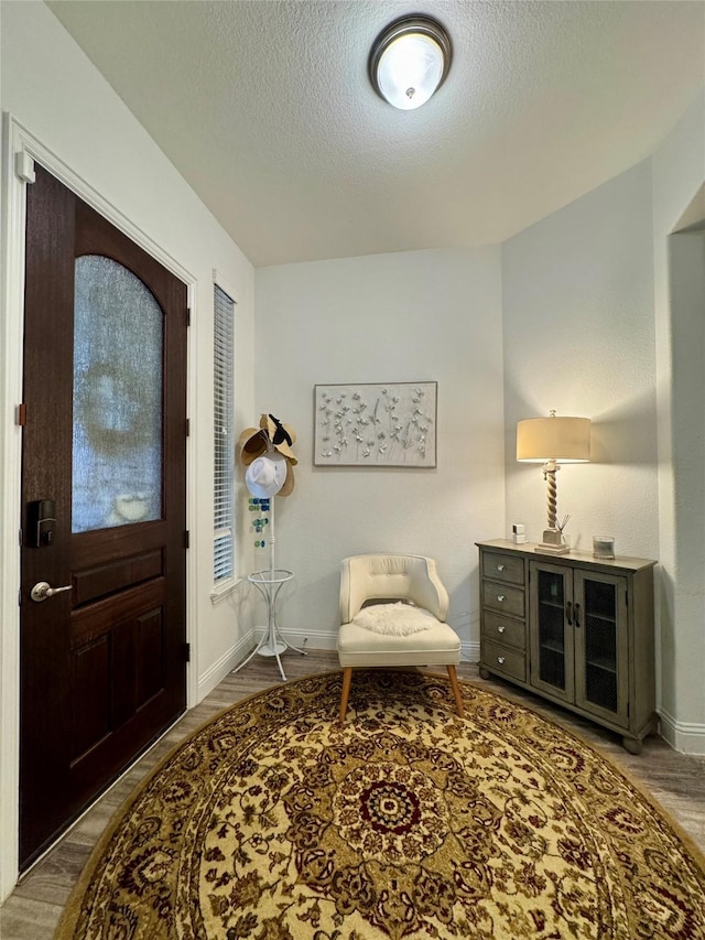 entrance foyer featuring wood-type flooring and a textured ceiling