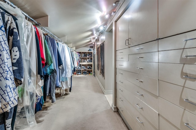 spacious closet with light carpet