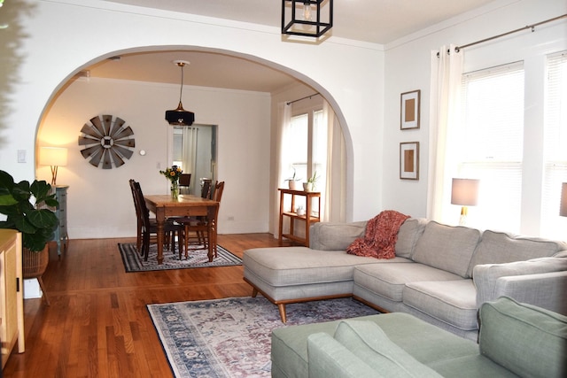 living room with crown molding, a healthy amount of sunlight, and dark hardwood / wood-style flooring