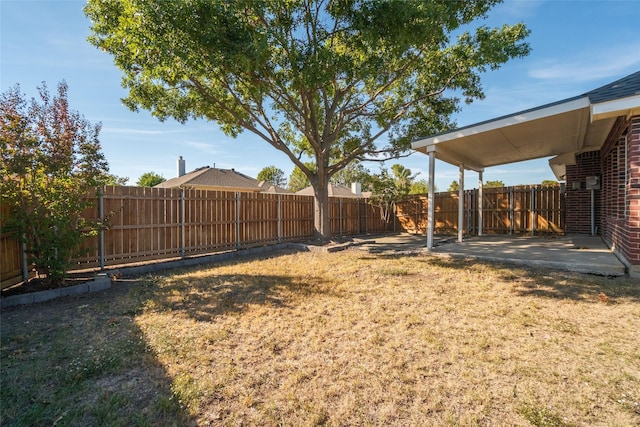 view of yard featuring a patio area