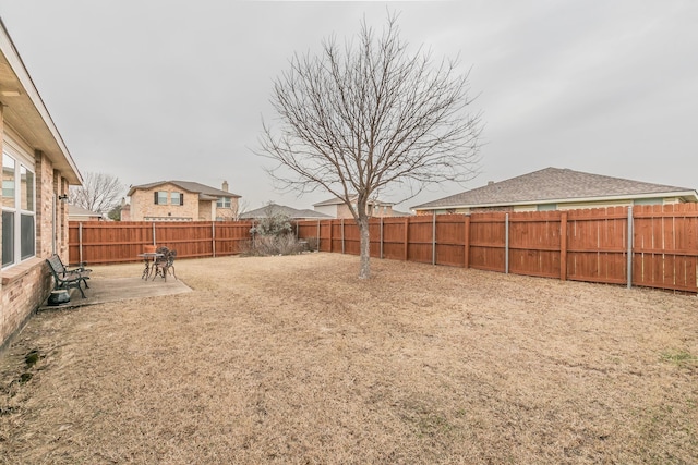 view of yard featuring a patio