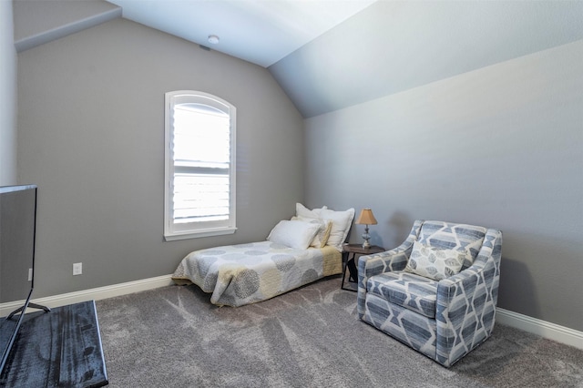 bedroom with lofted ceiling and carpet floors