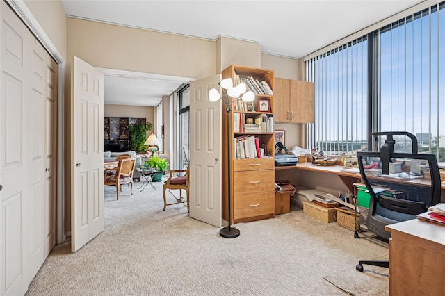 view of carpeted home office