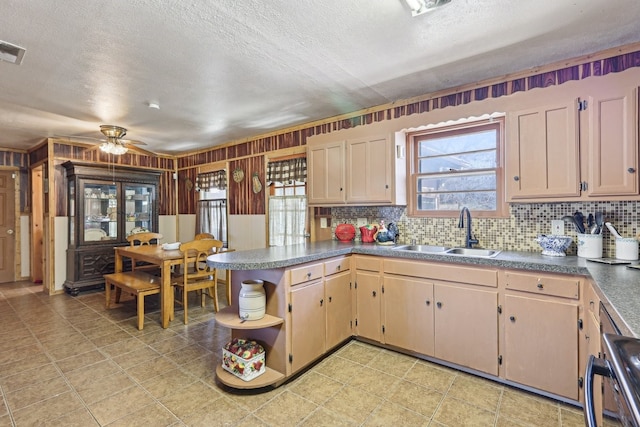 kitchen featuring ceiling fan, stove, sink, and a wealth of natural light