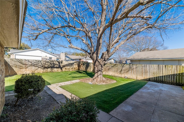 view of yard featuring a patio