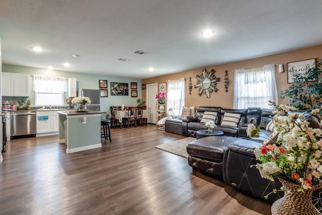 living room with sink, dark hardwood / wood-style floors, and a healthy amount of sunlight