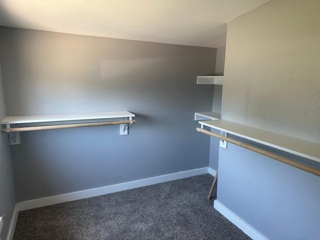 walk in closet with dark carpet