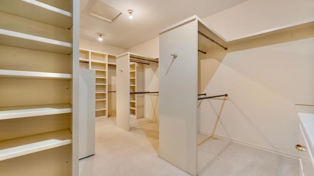 walk in closet with carpet