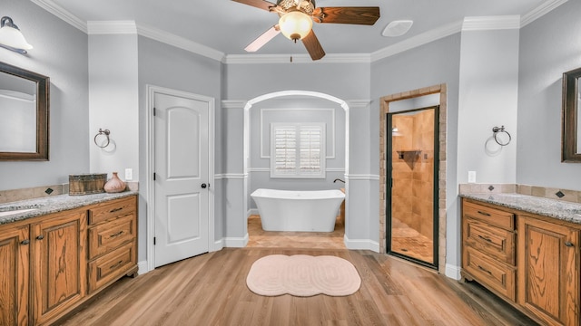 bathroom with ornamental molding, plus walk in shower, and vanity