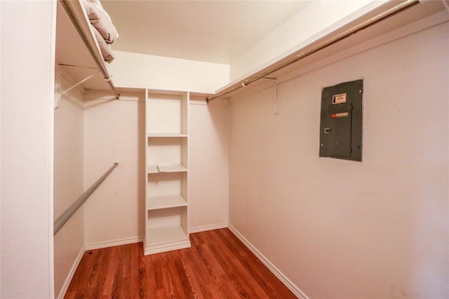 spacious closet with electric panel and dark hardwood / wood-style floors