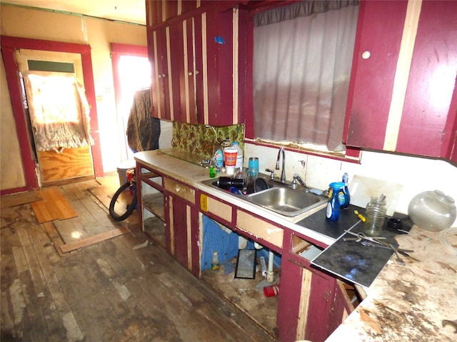 kitchen featuring dark wood-type flooring, sink, and backsplash