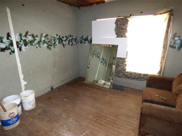 interior space featuring hardwood / wood-style flooring and a fireplace