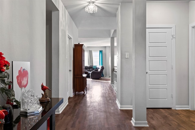 hall with dark wood-type flooring