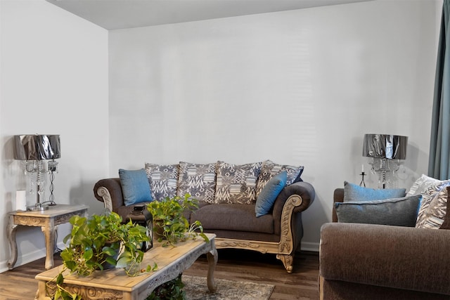 living room featuring hardwood / wood-style floors