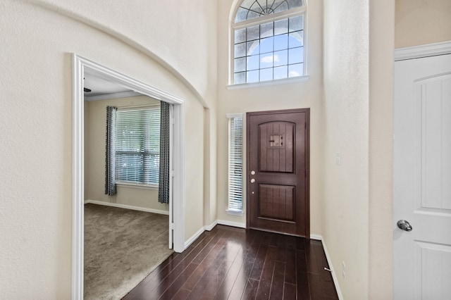 entryway featuring dark hardwood / wood-style flooring and a towering ceiling