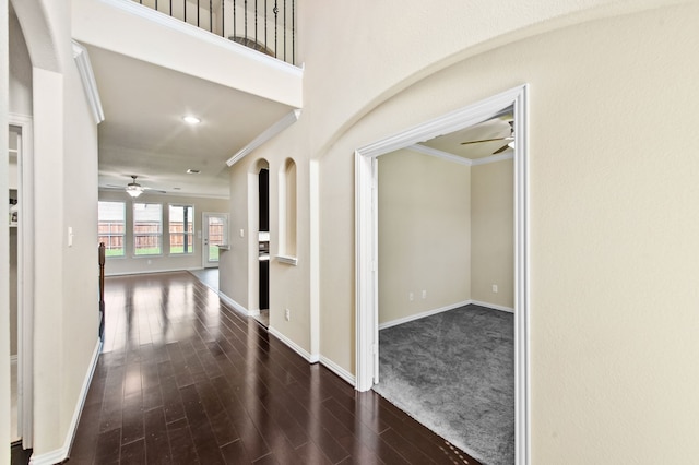 corridor with crown molding and dark hardwood / wood-style flooring