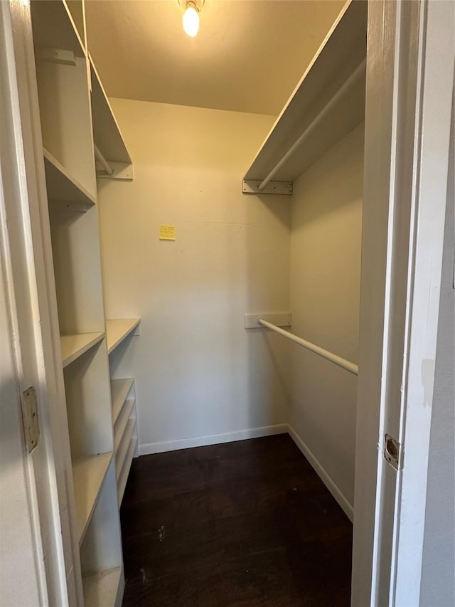 walk in closet with dark wood-type flooring