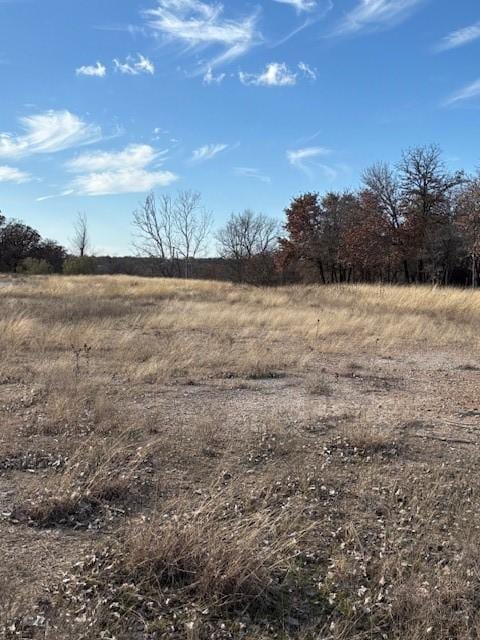 XXX Sugartree Dr, Lipan TX, 76462 land for sale