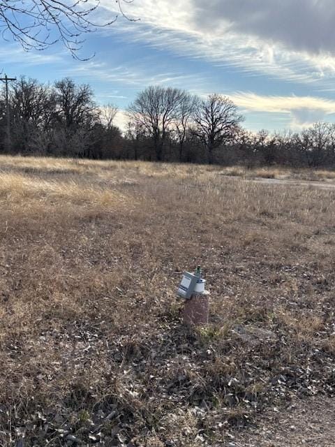 Listing photo 2 for XXX Sugartree Dr, Lipan TX 76462