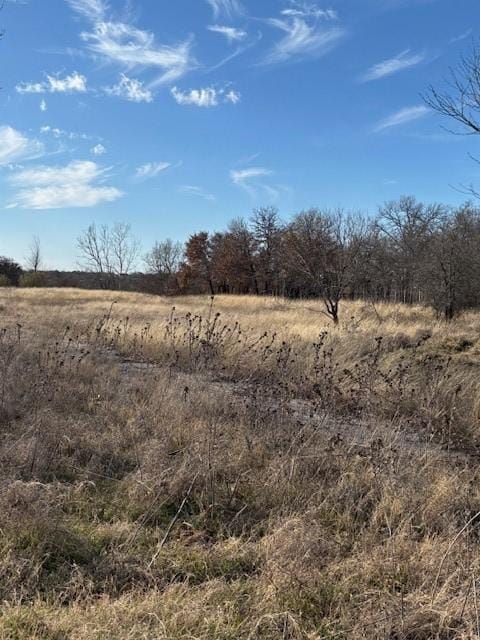 Listing photo 3 for XXX Sugartree Dr, Lipan TX 76462