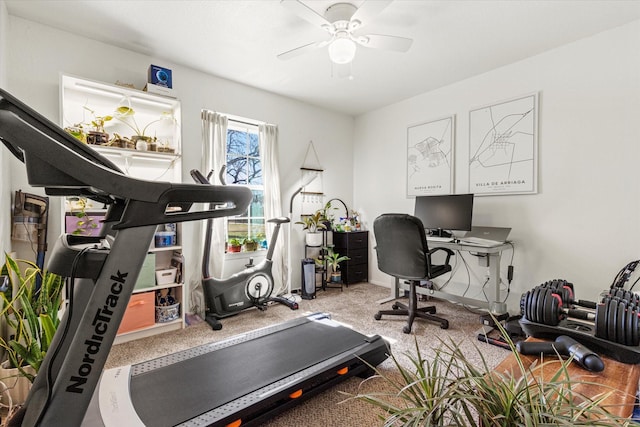 workout area featuring carpet floors and ceiling fan