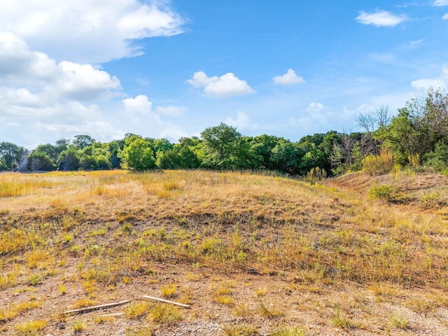 8440 Hollandbush Ct, Cleburne TX, 76033 land for sale