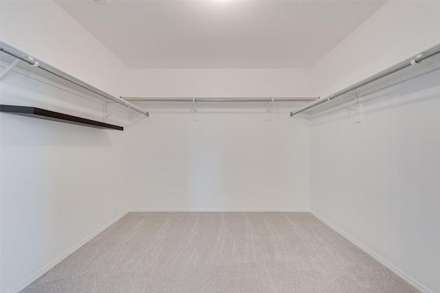 walk in closet featuring light colored carpet