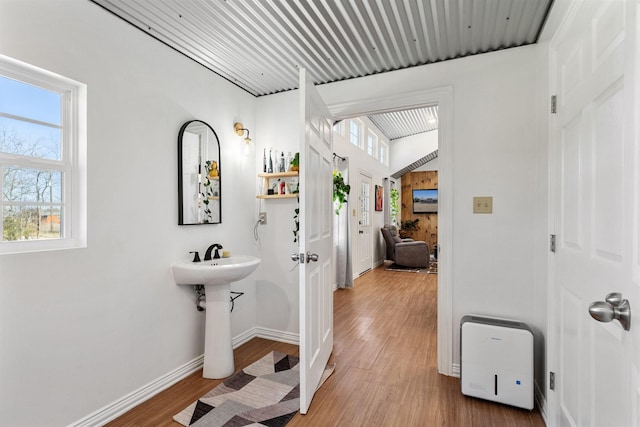 bathroom with hardwood / wood-style floors