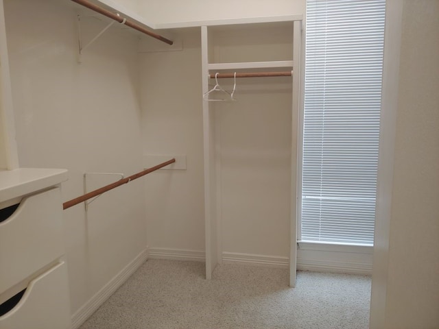 view of walk in closet